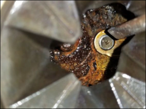 Four Issues Corrosion