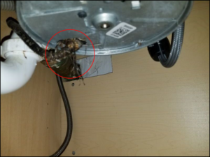 Four Issues Wire